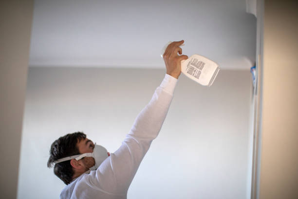 Best Mold Cleaning Services  in Johnston, SC