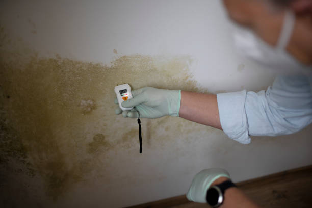 Best Mold Testing  in Johnston, SC
